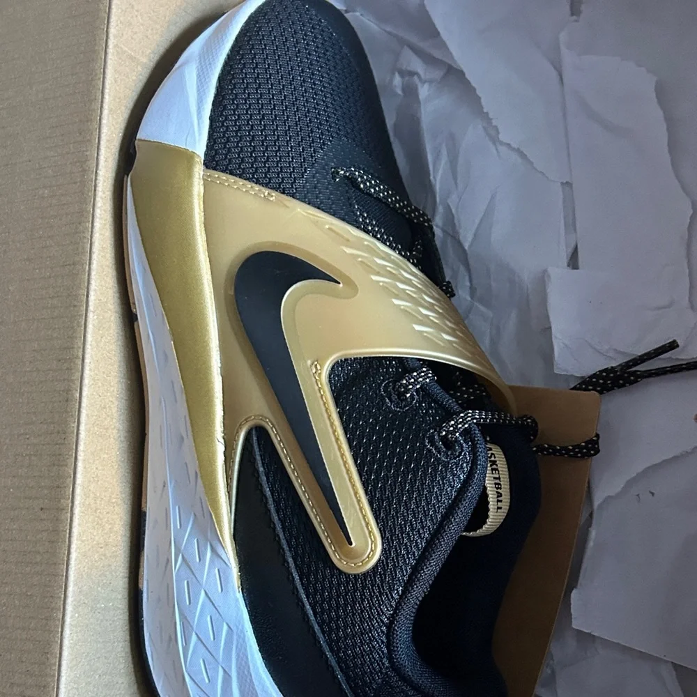 Nike Team Hustle D 10 GS Kids Basketball Shoes Black Metallic Gold CW6735-002